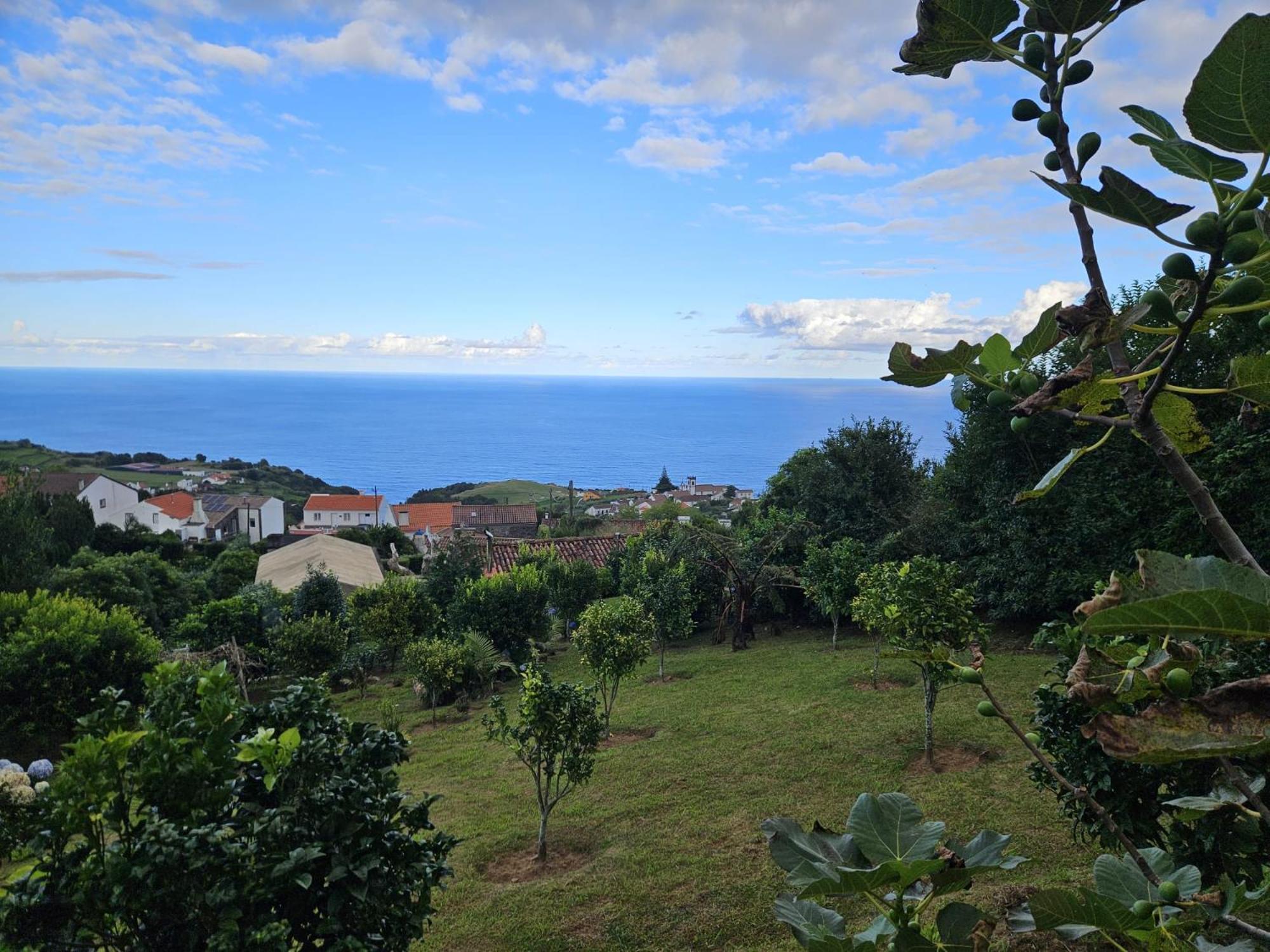 Casa Do Castanheiro - Nordeste, Acores Nordeste  Exterior photo